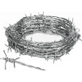 Hot dipped Galvanized barbed wire series